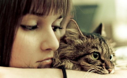 15 მიზეზი იმისა,  თუ რატომ უნდა გყავდეთ სახლში კატა