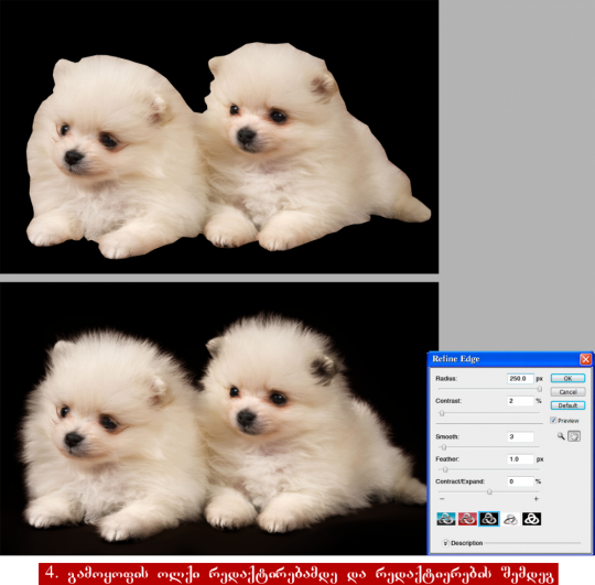გამოყოფის საზღვრების რედაქტირება Photoshop CS4 და Photoshop CS5 ვერსიებში