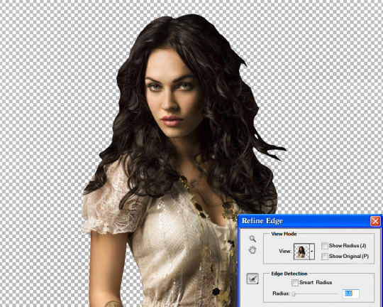 გამოყოფის საზღვრების რედაქტირება Photoshop CS4 და Photoshop CS5 ვერსიებში