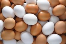 რა განსხვავებაა თეთრ და ყავისფერ კვერცხებს შორის და რომელია უფრო სასარგებლო