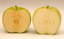 როგორ გამოვიცნოთ გენმოდიფიცირებულია ვაშლი თუ არა, ის რაც აუცილებლად უნდა იცოდეთ