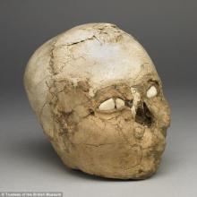 როგორ გამოიყურებოდა ადამიანი 9500 წლის წინ, ბრიტანელი არქეოლოგების საოცარი ქმნილება