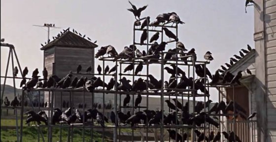 შთამბეჭდავი კადრი ჰიჩკოკის ფილმიდან "ფრინველები"