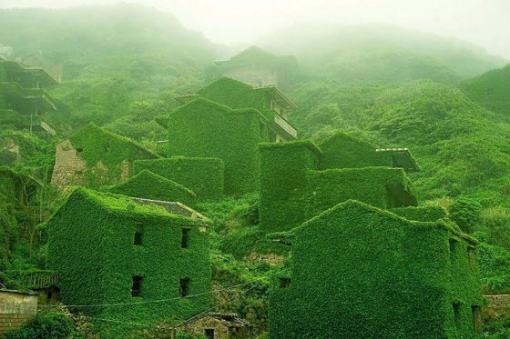 მიტოვებული სოფელი  ჩინეთში, სადაც ბუნებამ გაიმარჯვა