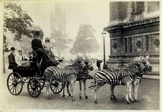 იშვიათი ისტორიული  ფოტო: ლონდონი, 1894 წელი