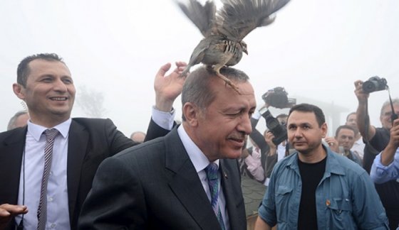 თურქეთის პრეზიდენტს  მეჩეთის გახსნისას თავს კაკაბი  დაესხა