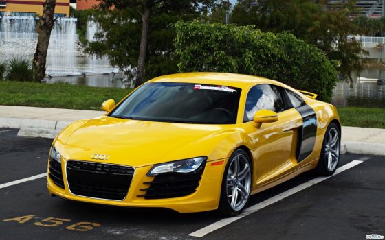 Audi R8