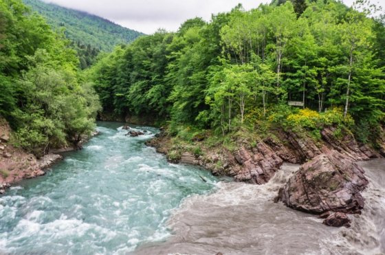 შავი და თეთრი არაგვი