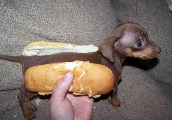 HOT-DOG