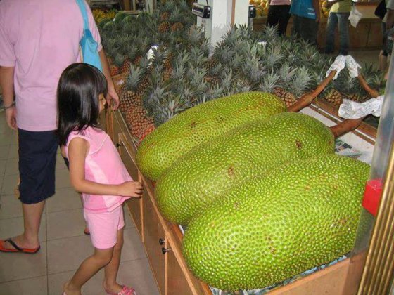 ინგლისურად ამ ხილს სახელია : Jackfruit