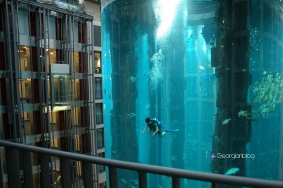გიგანტური აკვარიუმი ლიფტის გარშემო, რომელიც 1500-ზე მეტ თევზს იტევს