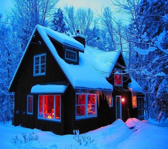 ყველასათვის საყვარელი, სახლი ტყეში და ბევრი თოვლი