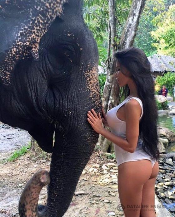 ლამაზი გოგონა სპილოსთან