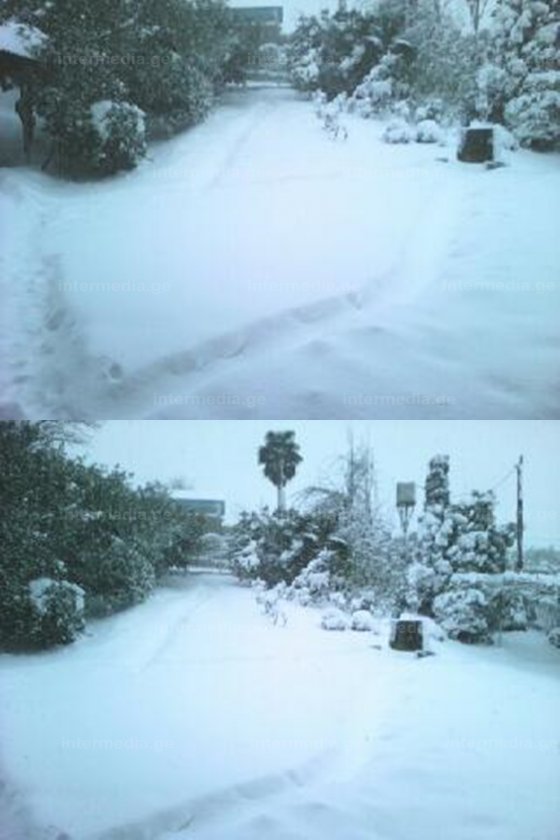 ზამთარი სამეგრელოს ერთერთ სოფელში, თოვლის სიმაღლე 55 სანტიმეტრია სურათზე