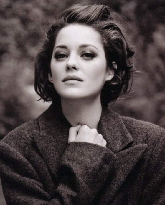 უსაყვარლესი Marion Cotillard