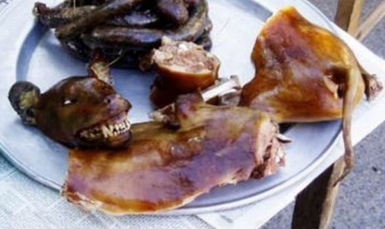 ხარაგაულში, ჩინელებმა სადილად ძაღლი დაკლეს