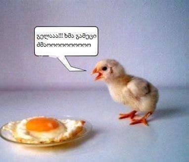 გაიღიმეთ, გახალისდით...