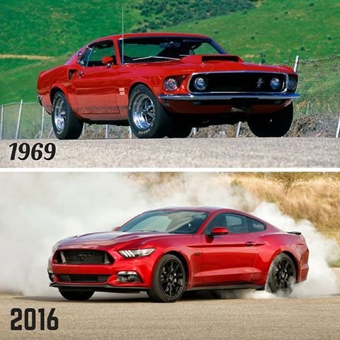 რომელი გირჩევნიათ ძველი თუ ახალი?