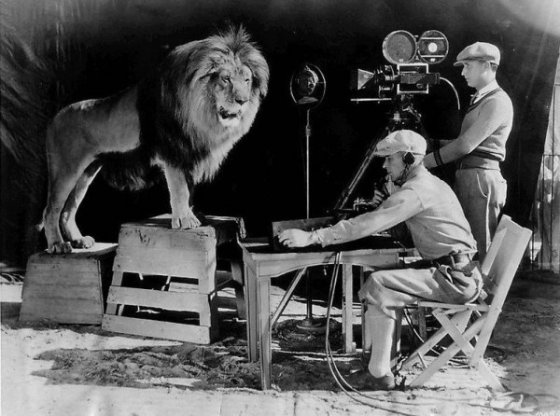 Metro-Goldwyn-Mayer-ის ლომი 1950 წელი