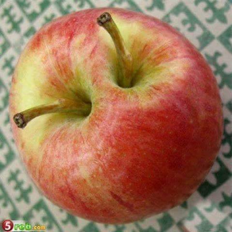 უცნაური ვაშლი