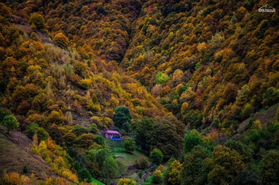 გუდამაყარი