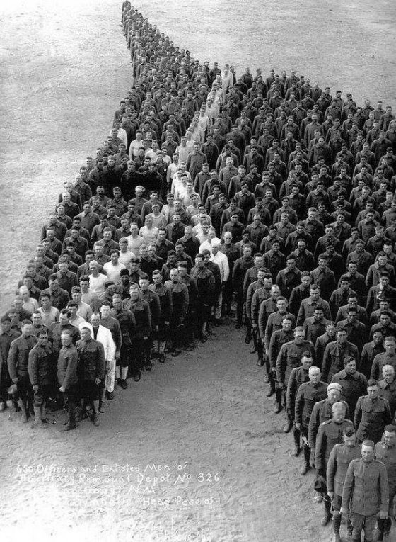ეძღვნება 8 მილიონ ცხენს, რომელიც პირველ მსოფლიო ომს შეეწირა.