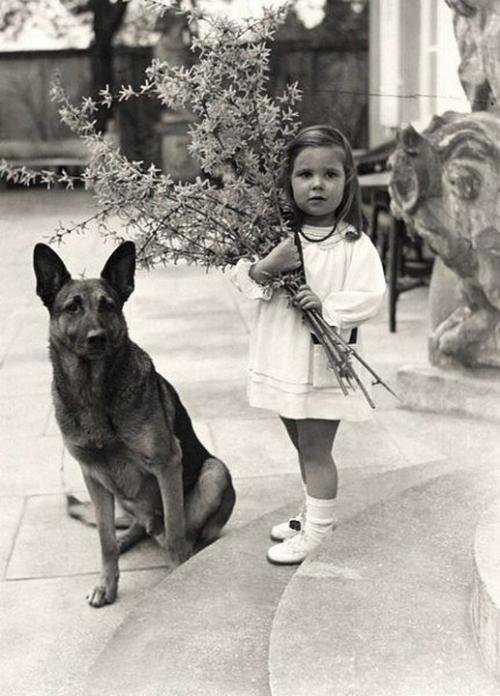 გეველსის ქალიშვილი ჰელგა ჰიტლერის ძაღლთან ერთად