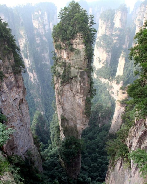 ტანზაის მთები,ჩინეთი. ადგილი ,რომელმიც გამოყენებულია პლანეტა პანდორად, ფილმ ავატარში.