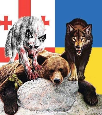 ამ სურათის დანახვაზე ძნელია ემოცია შეიკავოთ, ქართული და უკრაინული მგლები რუსულ დათვს ამარცხებენ
