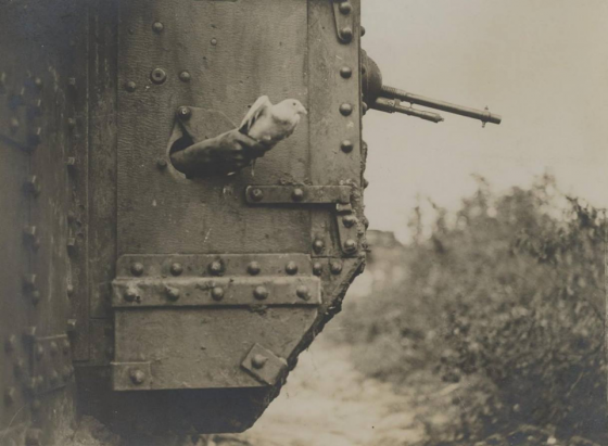 საველე ურთიერთობის ნიმუში,პირველი მსოფლიო ომი