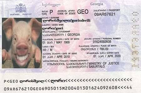 საქართველოში ღორებს პასპორტები ექნებათ