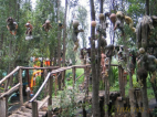თოჯინების ბაღი რომელიც მსოფლიოში ერთ ერთი უსაშინლესი ადგილია