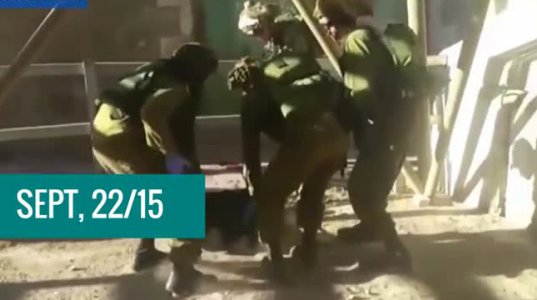 ისრაელელმა ჯარისკაცებმა 18 წლის პალესტინელი გოგონა მოკლეს