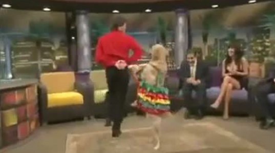 ძაღლი ცეკვავს