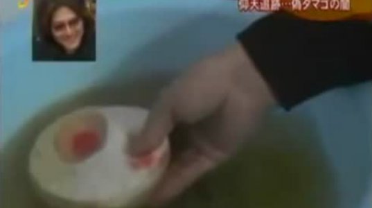 როგორ ხდება კვერცხის გაყალბება ჩინეთში